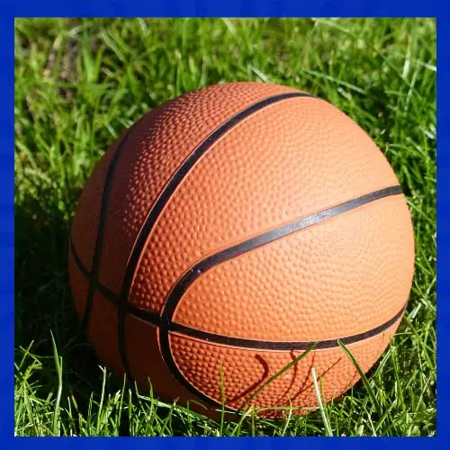 Sie können bei CoinPoker auf Basketball wetten